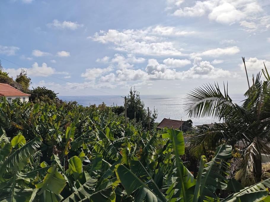Vаrаndаs Dо Sоl-Vista Relaxante Entre Mar E Montanha Leilighet Ponta do Sol  Eksteriør bilde